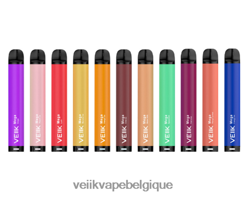 VEIIK Micko Mega vape jetable 800 bouffées 500mah DLHB8859 plusieurs saveurs VEIIK vape review