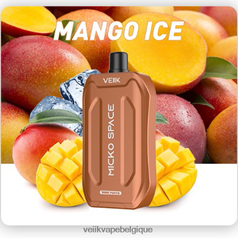 VEIIK Micko Space vape jetable 7000 bouffées DLHB8840 glace à la mangue VEIIK vape price